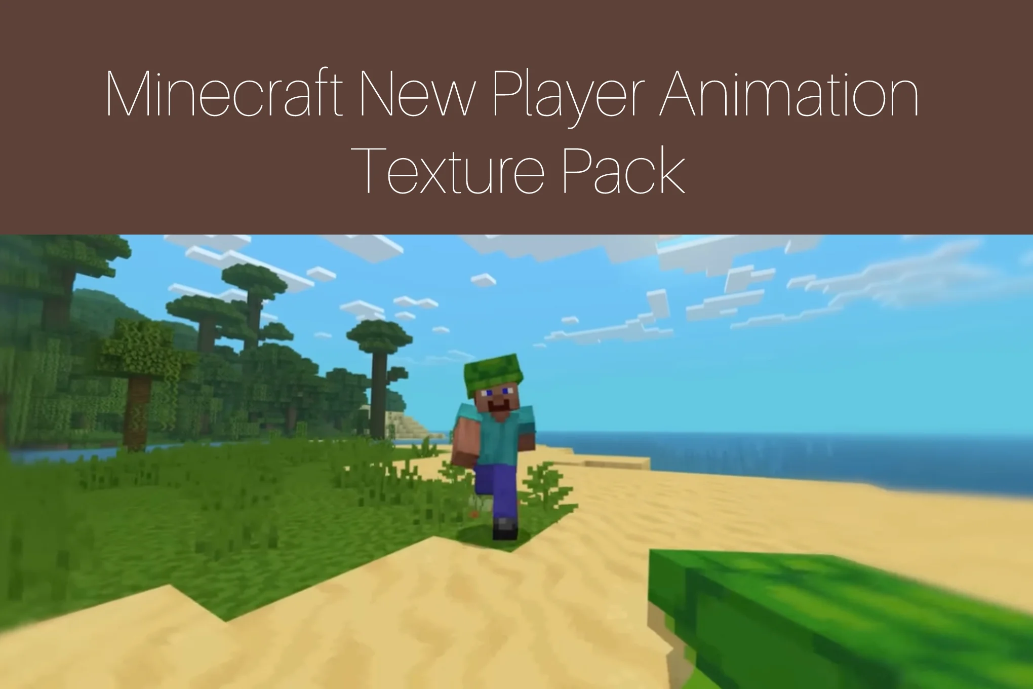 Minecraft New Player Animation Texture Pack