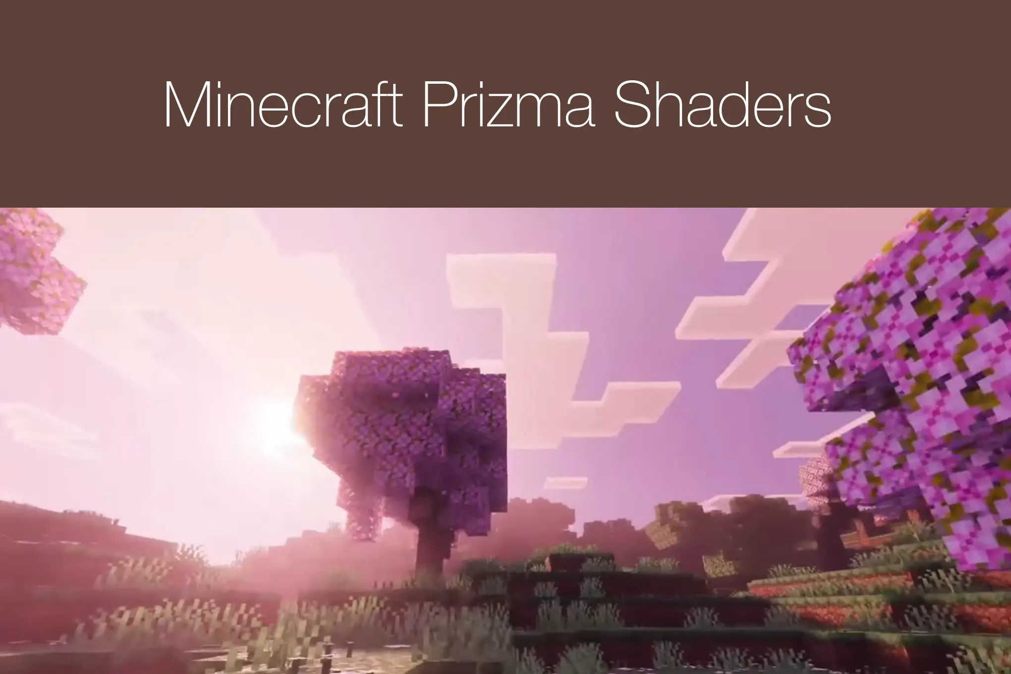 Minecraft Prizma Shader