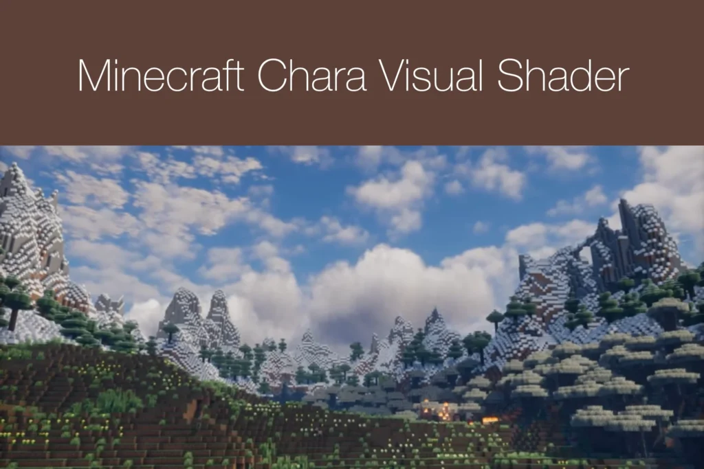 Minecraft Chara Visual Shader