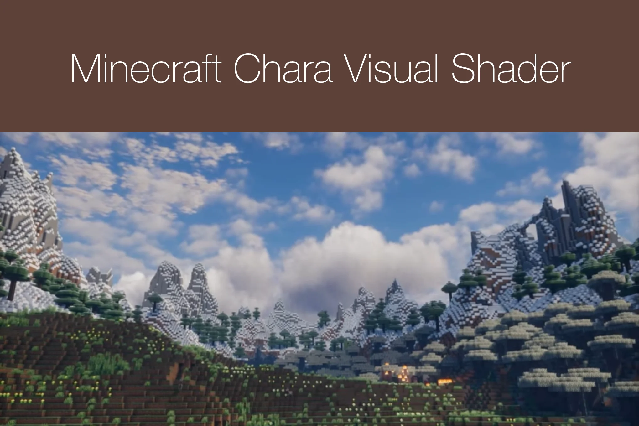 Minecraft Chara Visual Shader