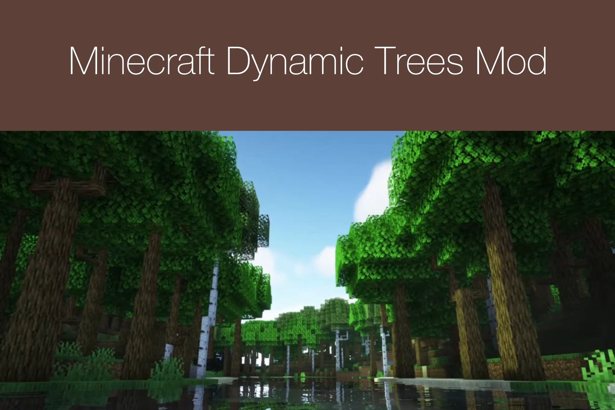 Minecraft Dynamic Trees Mod