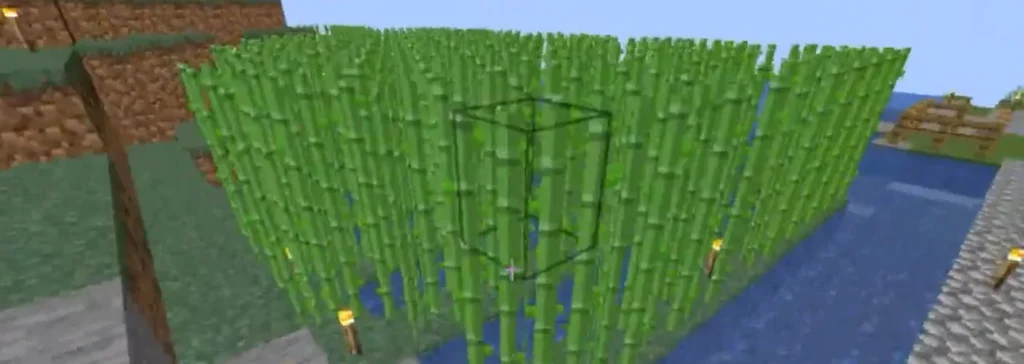 Step 3: Find Sugar Cane
